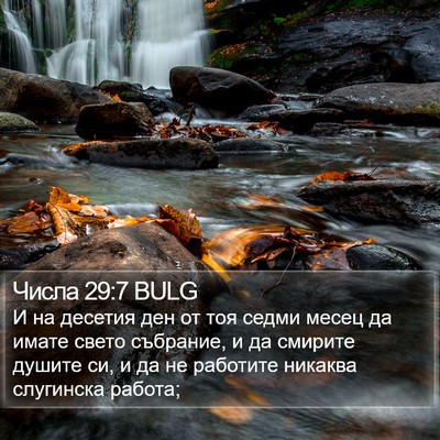 Числа 29:7 BULG Bible Verse Image