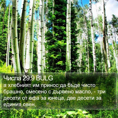 Числа 29:9 BULG Bible Verse Image