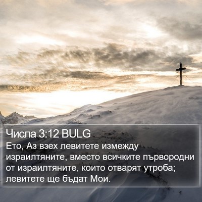 Числа 3:12 BULG Bible Verse Image