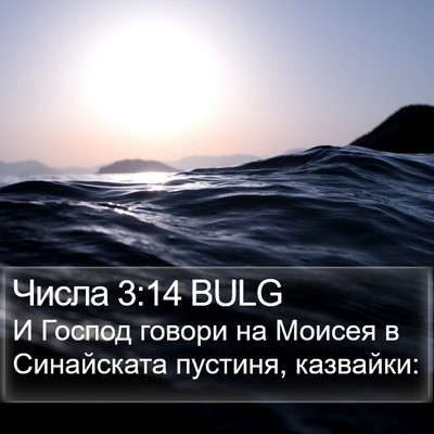 Числа 3:14 BULG Bible Verse Image