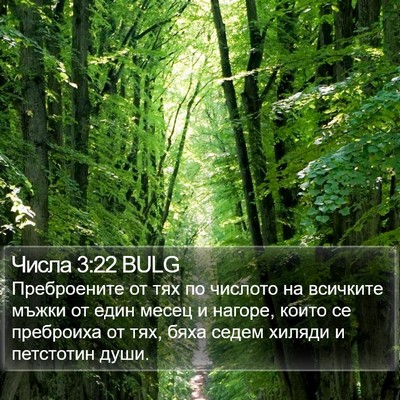 Числа 3:22 BULG Bible Verse Image