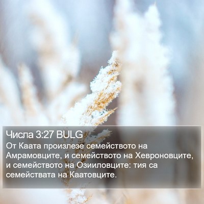 Числа 3:27 BULG Bible Verse Image