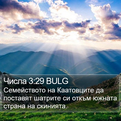 Числа 3:29 BULG Bible Verse Image