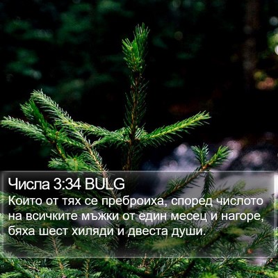Числа 3:34 BULG Bible Verse Image