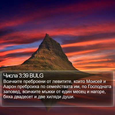Числа 3:39 BULG Bible Verse Image
