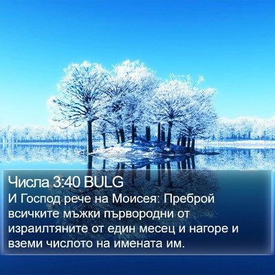 Числа 3:40 BULG Bible Verse Image