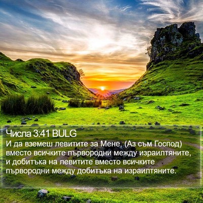 Числа 3:41 BULG Bible Verse Image
