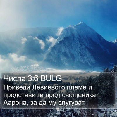 Числа 3:6 BULG Bible Verse Image