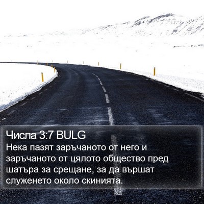 Числа 3:7 BULG Bible Verse Image