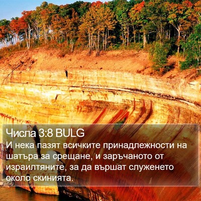Числа 3:8 BULG Bible Verse Image