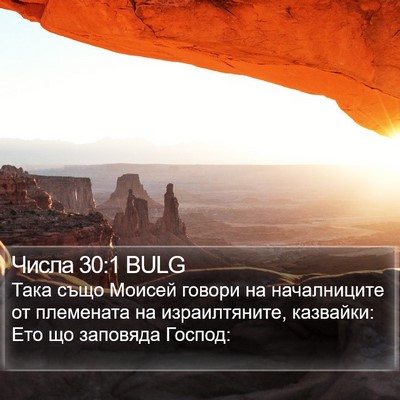 Числа 30:1 BULG Bible Verse Image