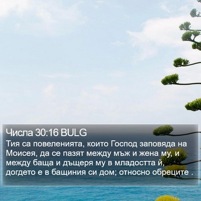 Числа 30:16 BULG Bible Verse Image