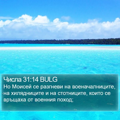 Числа 31:14 BULG Bible Verse Image