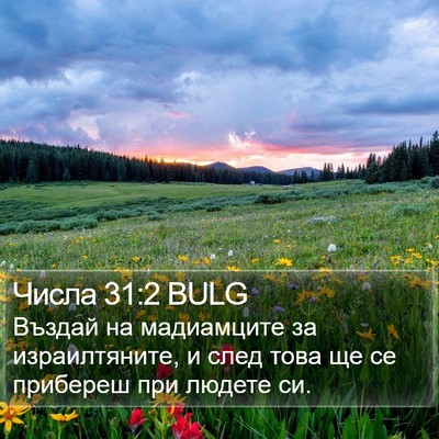 Числа 31:2 BULG Bible Verse Image
