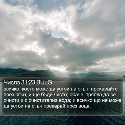 Числа 31:23 BULG Bible Verse Image