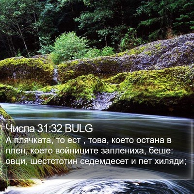Числа 31:32 BULG Bible Verse Image