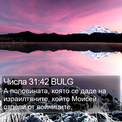 Числа 31:42 BULG Bible Verse Image