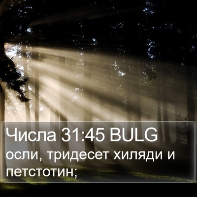 Числа 31:45 BULG Bible Verse Image