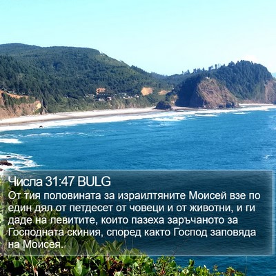 Числа 31:47 BULG Bible Verse Image