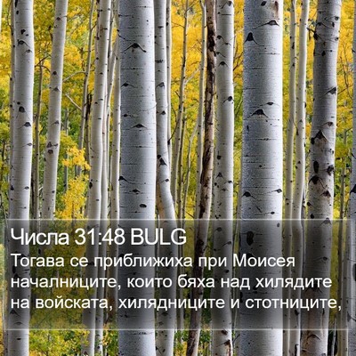 Числа 31:48 BULG Bible Verse Image