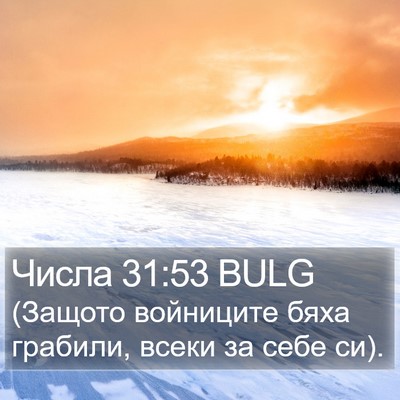 Числа 31:53 BULG Bible Verse Image