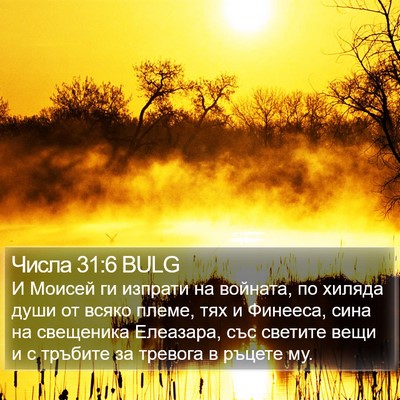 Числа 31:6 BULG Bible Verse Image