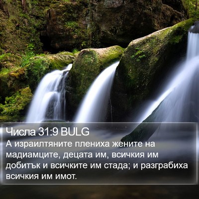 Числа 31:9 BULG Bible Verse Image