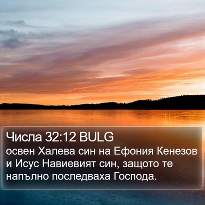 Числа 32:12 BULG Bible Verse Image