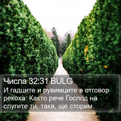 Числа 32:31 BULG Bible Verse Image