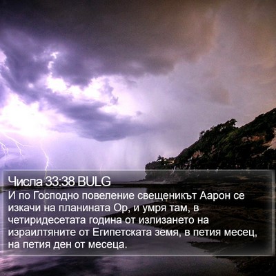 Числа 33:38 BULG Bible Verse Image