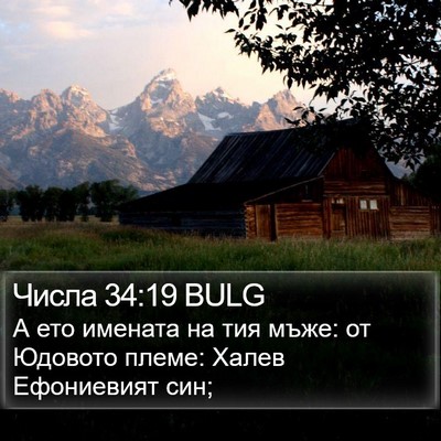 Числа 34:19 BULG Bible Verse Image