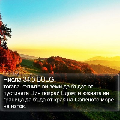 Числа 34:3 BULG Bible Verse Image