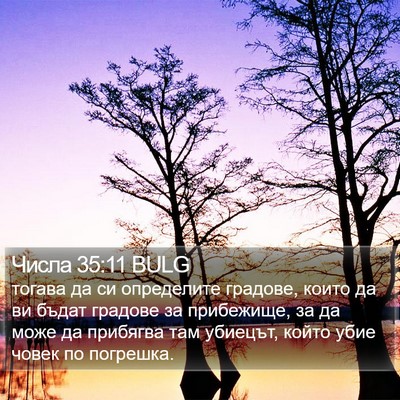 Числа 35:11 BULG Bible Verse Image