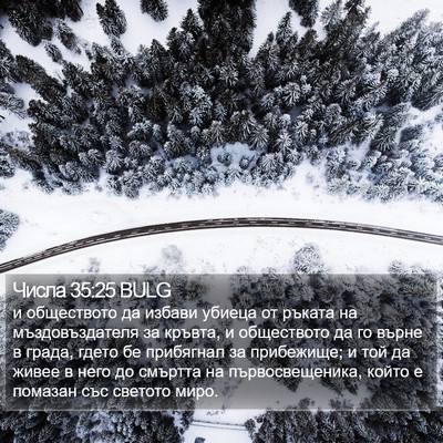 Числа 35:25 BULG Bible Verse Image