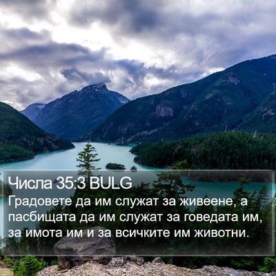 Числа 35:3 BULG Bible Verse Image
