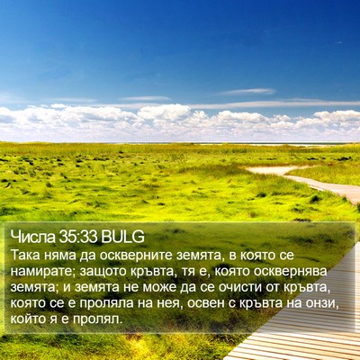 Числа 35:33 BULG Bible Verse Image