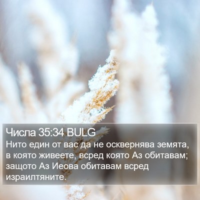 Числа 35:34 BULG Bible Verse Image