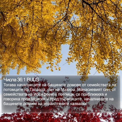 Числа 36:1 BULG Bible Verse Image