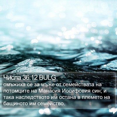 Числа 36:12 BULG Bible Verse Image
