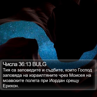 Числа 36:13 BULG Bible Verse Image