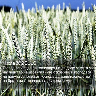 Числа 36:2 BULG Bible Verse Image