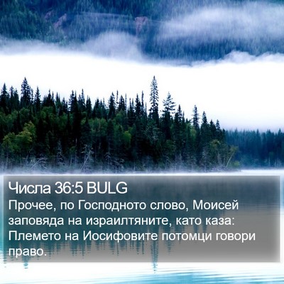 Числа 36:5 BULG Bible Verse Image