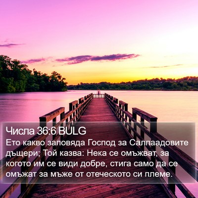 Числа 36:6 BULG Bible Verse Image