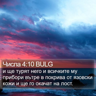 Числа 4:10 BULG Bible Verse Image