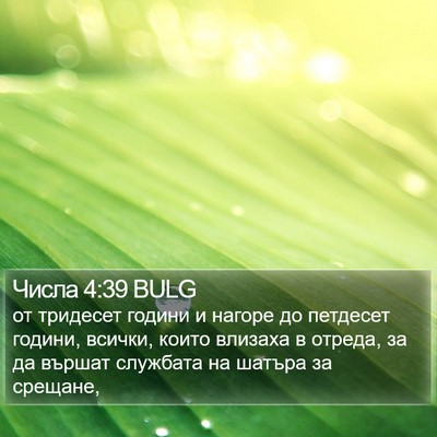 Числа 4:39 BULG Bible Verse Image