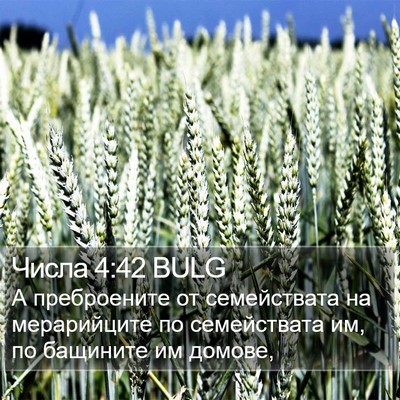 Числа 4:42 BULG Bible Verse Image