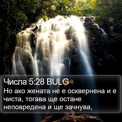 Числа 5:28 BULG Bible Verse Image