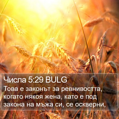 Числа 5:29 BULG Bible Verse Image