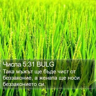 Числа 5:31 BULG Bible Verse Image