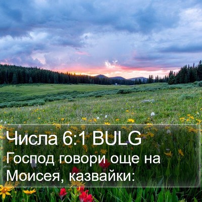 Числа 6:1 BULG Bible Verse Image
